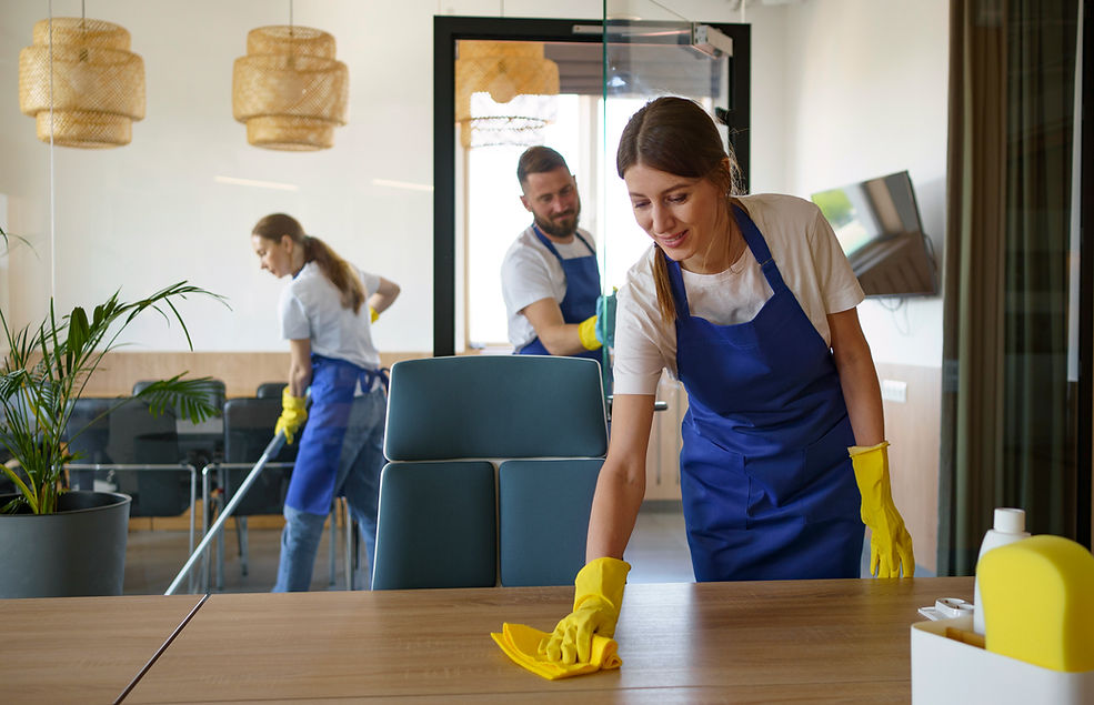 Professional residential cleaning team at work